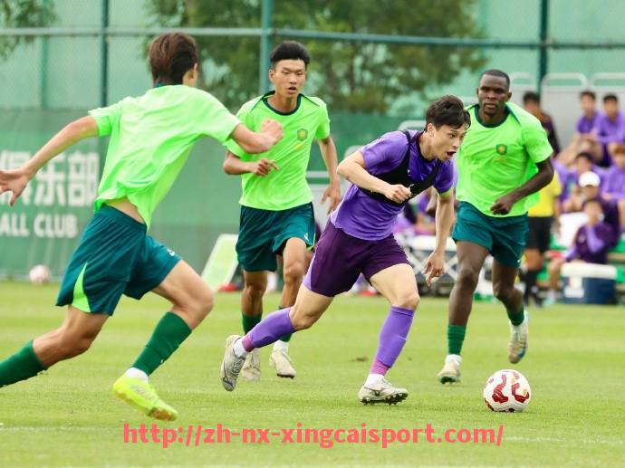 杏彩体育-意甲联赛中最有钱球队的财务实力及竞争优势