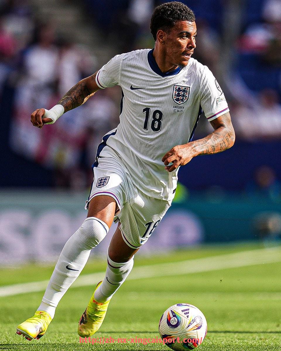 杏彩体育-火箭队比赛视频与回放录像的全面收集