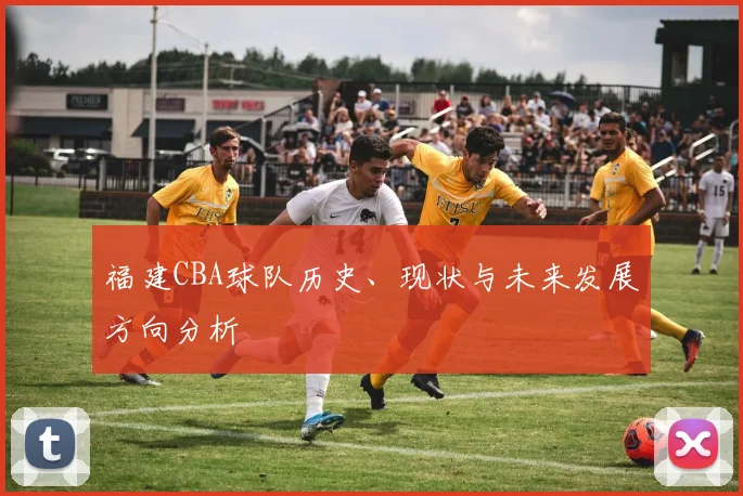 福建CBA球队历史、现状与未来发展方向分析