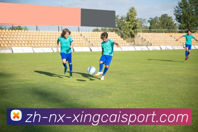 杏彩体育平台生态图